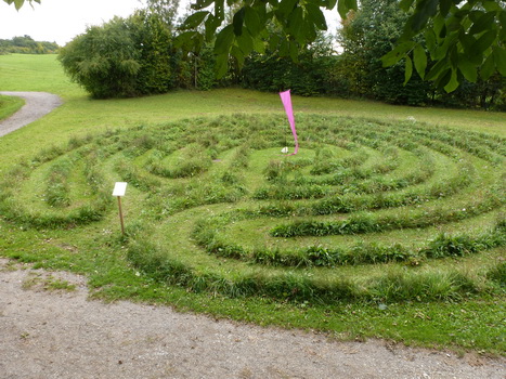 rohrbach_08