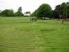 saffronwalden_07