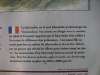 tibble_07