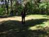 tibble_19