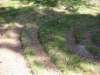 tibble_24