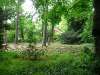 tuernich_05