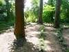 tuernich_11