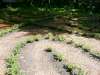 tuernich_12