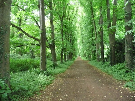 tuernich_02