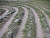 visby_old_24
