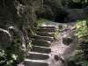 visby_old_36