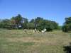 visby_old_63