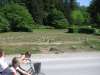 visby_old_81