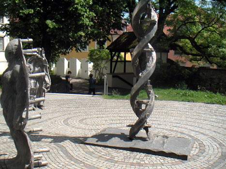 wangen_16