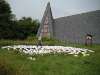 westernohe_02