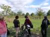 wiesenbronn_2013_09_01_04