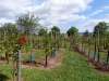 wiesenbronn_2013_09_01_05