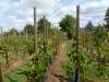 wiesenbronn_2013_09_01_12