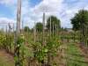 wiesenbronn_2013_09_01_13