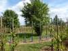 wiesenbronn_2013_09_01_14