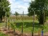 wiesenbronn_2013_09_01_15