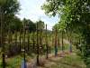 wiesenbronn_2013_09_01_16