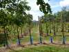 wiesenbronn_2013_09_01_17