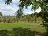 wiesenbronn_2013_09_01_19