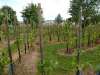 wiesenbronn_2013_09_01_21