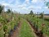wiesenbronn_2013_09_01_22