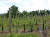 wiesenbronn_2013_09_01_24