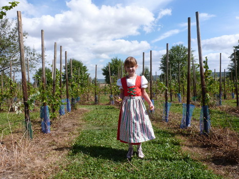 wiesenbronn_2013_09_01_06