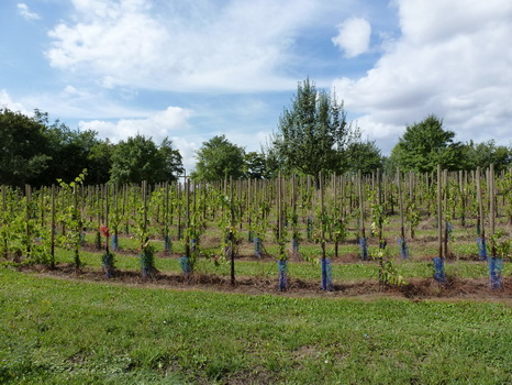 wiesenbronn_2013_09_01_07