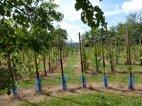 wiesenbronn_2013_09_01_17