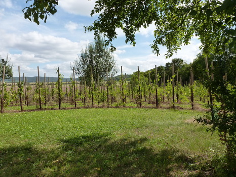 wiesenbronn_2013_09_01_19