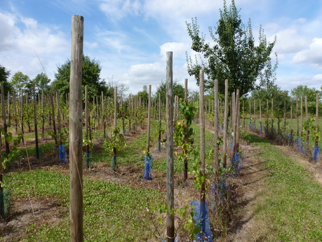 wiesenbronn_2013_09_01_23
