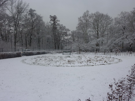 alfons_15