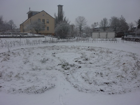 alfons_18