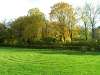 alfons_01