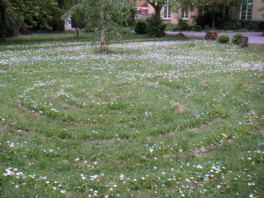 wue_benedikt_09