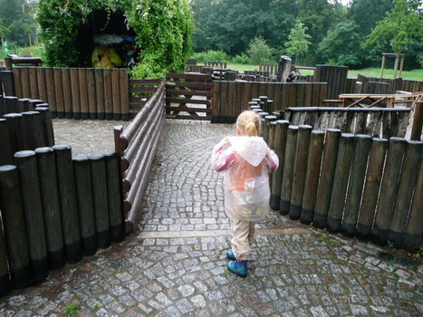 briesnitz_2008_07_13_05