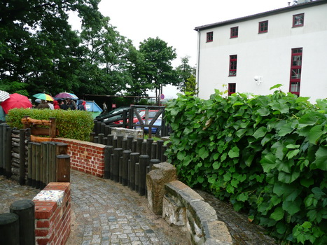 briesnitz_2008_07_13_10