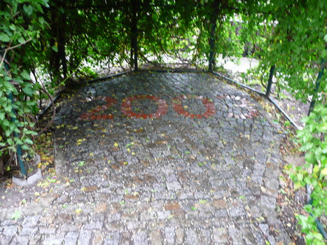 briesnitz_2008_07_13_12