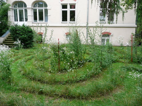 dd_frauen_2008_07_12_12