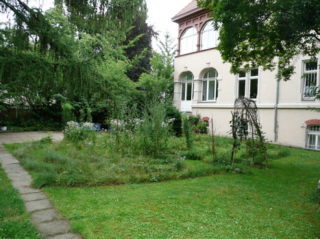 dd_frauen_2008_07_12_13
