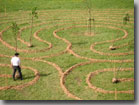 Labyrinth at Eisingen
